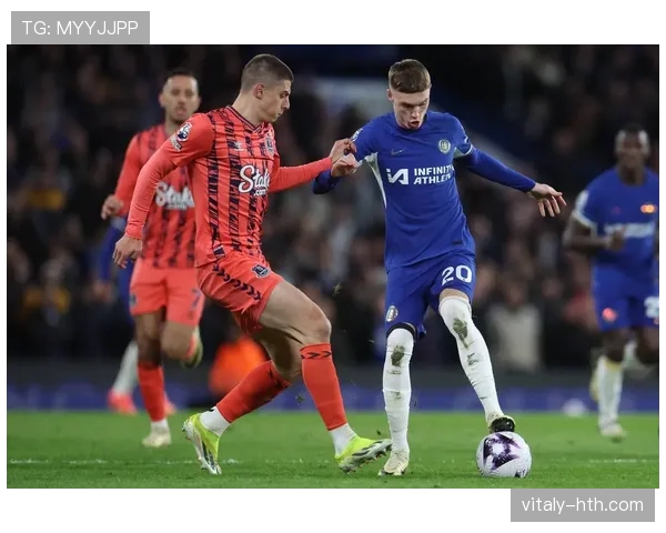 英超马雷斯卡狐狸